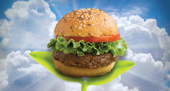 Meat replacement products
